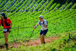 BIB: 
                            <button type="button" onclick="openModal(19163387)" class="btn btn-primary btn-sm float-right btn-popup" data-toggle="modal" data-target=".modal-high-quality">
                        <i class="fas fa-shopping-cart"></i> Add to Cart
                    </button>
                                            <button type="button" onclick="isThisMe(19163387, true)" class="btn btn-success btn-sm float-right btn-popup btn-isme hidden" data-toggle="tooltip" data-placement="bottom" title="นี่คือรูปของคุณใช่ไหม คลิกที่นี่เพื่อเอาเข้าอัลบั้ม">
                        <i class="fas fa-plus"></i> Add to album
                    </button>
                    <button type="button" onclick="isThisMe(19163387, false)" class="btn btn-warning btn-sm float-right btn-popup btn-isnotme hidden">
                        <i class="fas fa-ban"></i> Remove from album
                    </button>